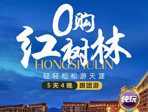 【零购红树林】三亚往返5日游， 三亚湾红树林木棉酒店-城市景观房