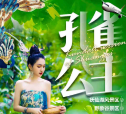 【孔雀公主】昆明、普洱、版纳、双飞一动6日游28-60岁