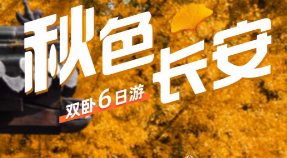 ​【秋色长安】双卧6日游  千年银杏树 惊艳整个秋