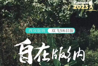 【自在版纳】直飞版纳5或6日游（12成人散拼小团）