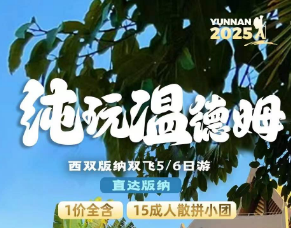 【纯玩温德姆】版纳直飞5/6日游 15成人团