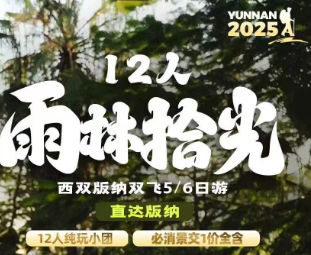 【雨林拾光】直达版纳4晚5天纯玩之旅 12人团