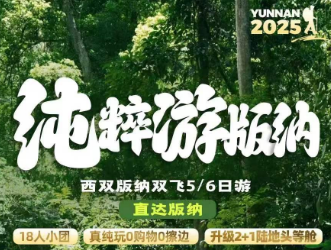 【纯粹游版纳】直达版纳纯玩5/6日游  18成人团