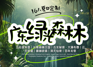 【广东绿光森林】夏日16成人定制 ★带娃进入宫崎骏童话世界-避暑圣地峰林晓镇