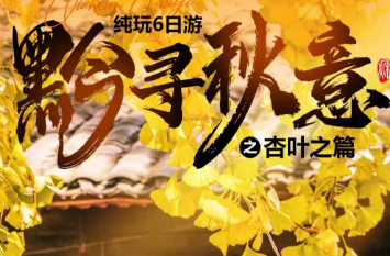 【黔寻秋意之山脊之巅】6日游 打卡韭菜坪 山脊之巅｜遇见贵州的紫色浪漫