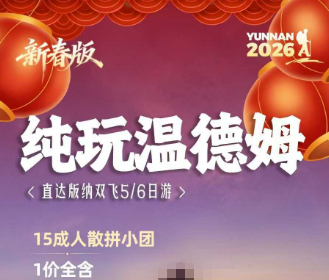 【纯玩温德姆】版纳直飞5/6日游 15成人团