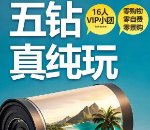 【1-3月】三亚五钻真纯玩-16成人VIP团  4晚连住五钻酒店