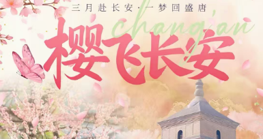 【樱飞长安】双飞/双卧/双高5日