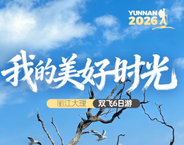 【我的美好时光】丽江大理双飞6日游    2-8成人散拼小团