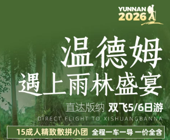 【温德姆遇上雨林盛宴】西双版纳双飞5/6日纯玩游