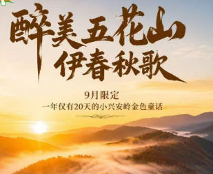 【伊春-醉美五花山】双飞6天|全程4钻精品酒店