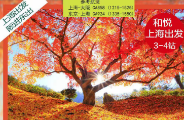 【日本枫叶季】上海口岸双古都+横滨镰仓6日