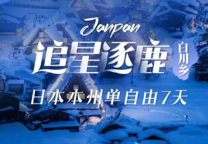【11-12月】日本东京+白川乡+岐阜+京都+奈良+大阪 7 天 6 晚