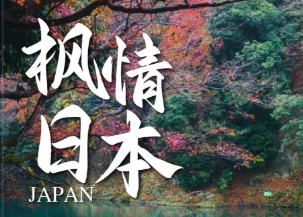【11-12月】枫情日本双古都6日游  正班机往返