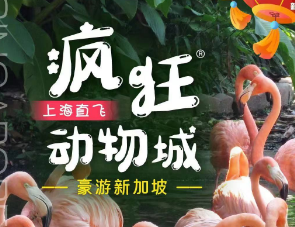 2024春节寒假【疯狂动物城】新加坡4晚5日游  上海直飞