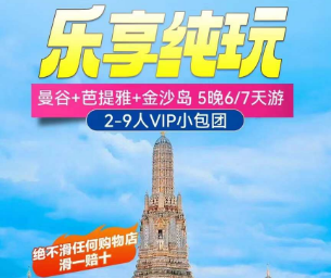 【泰国乐享纯玩VIP小包团】落地头等舱阿尔法商务车接送