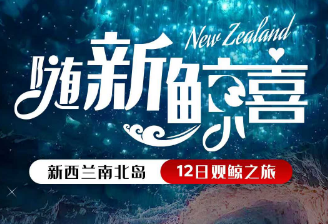 【6-12月】“随新所动”新西兰南北岛12天-观鲸之旅