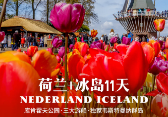 【3-5月限定花期】荷兰+冰岛11日游  20人团