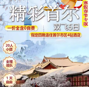 【精彩首尔】首尔 仁川 三八线 景福宫 青瓦台双飞5日游