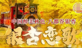 <赏秋银杏长兴2日游>长兴十里银杏长廊 夜游太湖古镇-赏大型水舞烟花秀 八都岕古街 南浔古镇 龙背山森林公园