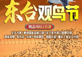 <东台观鸟节>安丰古镇+黄海国家森林公园+条子泥大海公园遇见海+西溪夜景·犁木街·宋城+西溪景区·海春轩塔+董永七仙女文化园