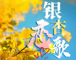 <长兴湖州一日>长兴八都岕·十里银杏长廊+空王教寺祈福+趣南浔难寻·5A级江南古镇景区+纯玩一日游