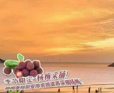 <宁波余姚杨梅采摘三日>宁波鼓楼+南塘老街+滕头古村+网红弥勒博物馆+溪口老街+阳明古镇+余姚杨梅采摘
