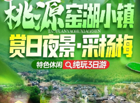 <赏窑湖小镇日夜景3日>宜兴采杨梅·入园畅吃·自采三斤带走-窑湖小镇日景/夜景-小火车开进千户苗寨-网红陶二厂-蜀山古南街-阳羡湖深氧公园-雅达小镇·东坡阁-龙池山
