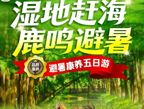 <盐城康养5日游>安丰古镇+西溪景区夜景+黄海国家森林+日出海湾赶海拾贝+野生麋鹿荡看野生麋鹿+李中水上森林+大纵湖+东晋水城（白+黑）+桃花潭