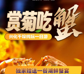 <兴化一日>【赏菊品蟹】千垛赏菊+金东门老街纯玩