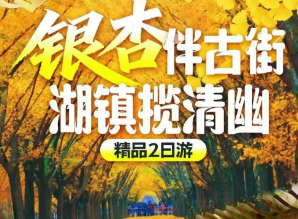 <十里银杏·仙侠云上>长兴十里银杏长廊 云上草原仙侠城&100+海量演绎-NPC互动-云海栈道+余村