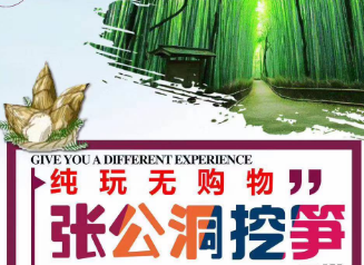 <宜兴一日（特价）>张公洞+挖笋纯玩一日游