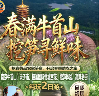 <春满牛首山挖笋二日游>牛首山/夫子庙秦淮河/桠溪国际慢城赏花、挖笋体验、高淳老街