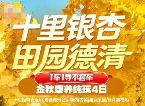 <金秋长兴康养4日游>十里银杏 田园德清 三晚连住和甸园度假村